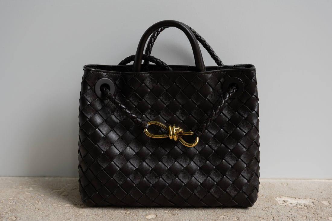 BOTTEGA VENETA SMALL ANDIAMO